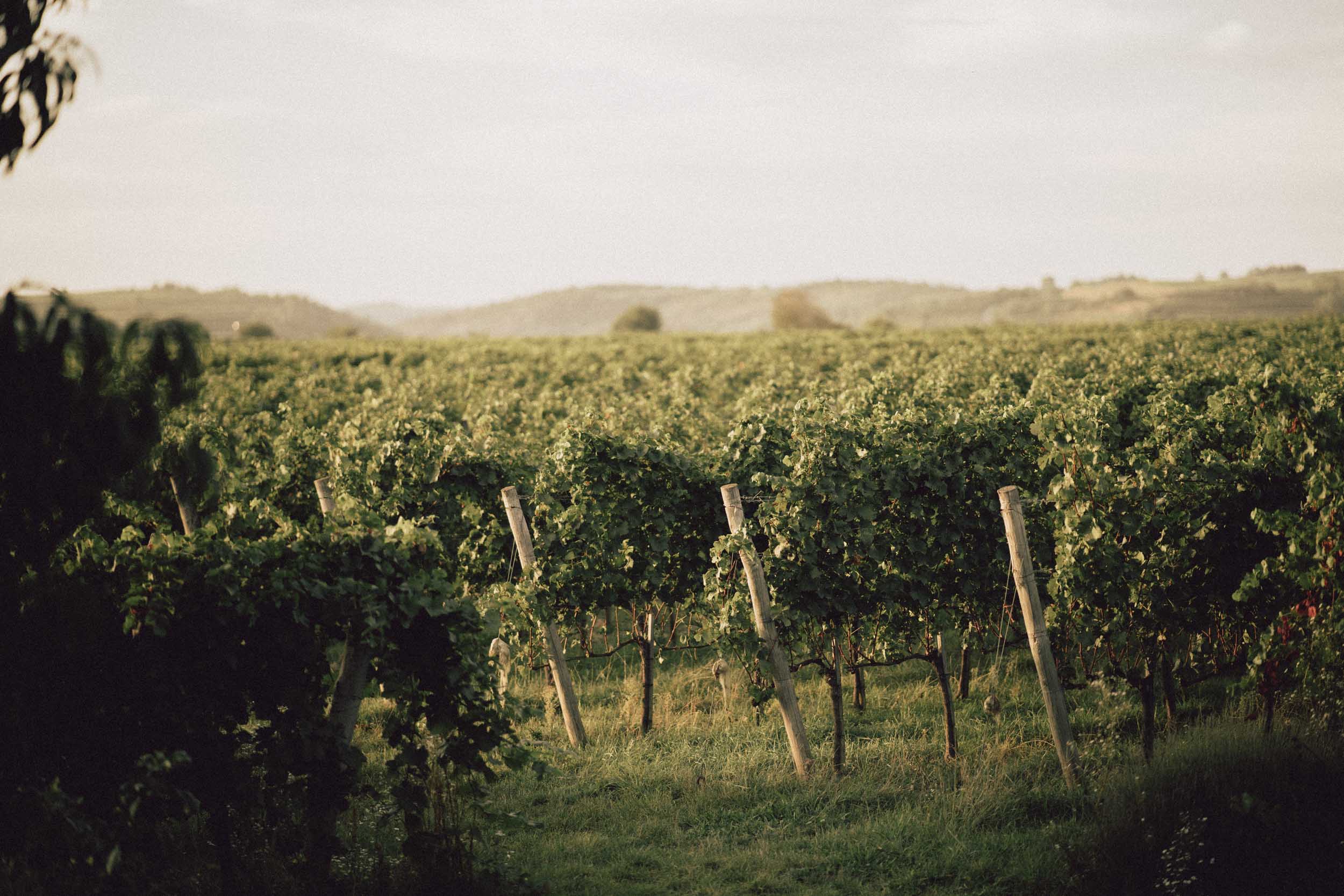 Weingut