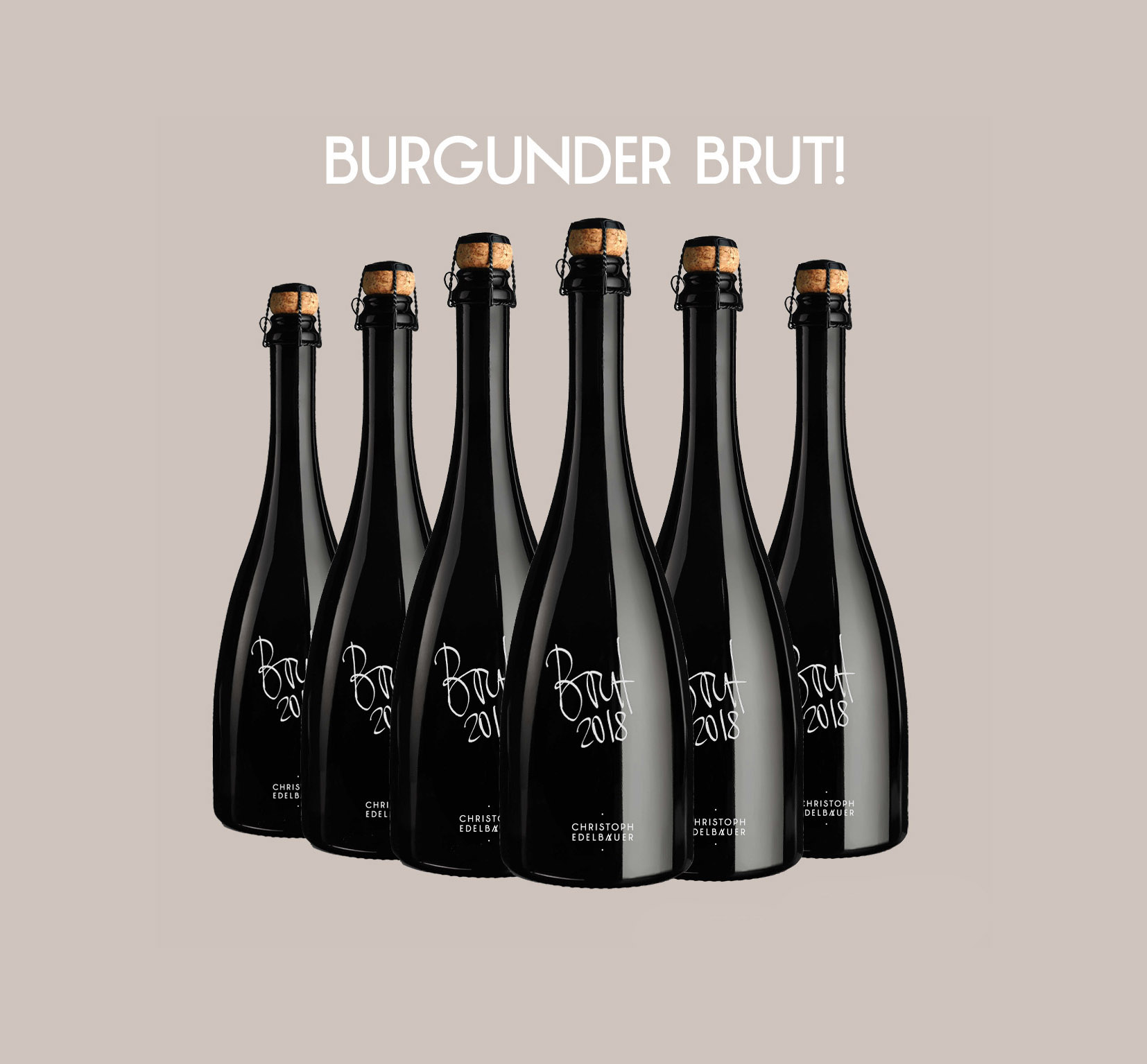 Burgunder Brut 6er PAKET 2018